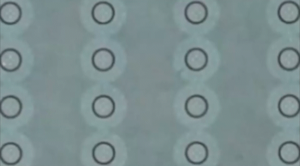 电致酸-稳定版.gif